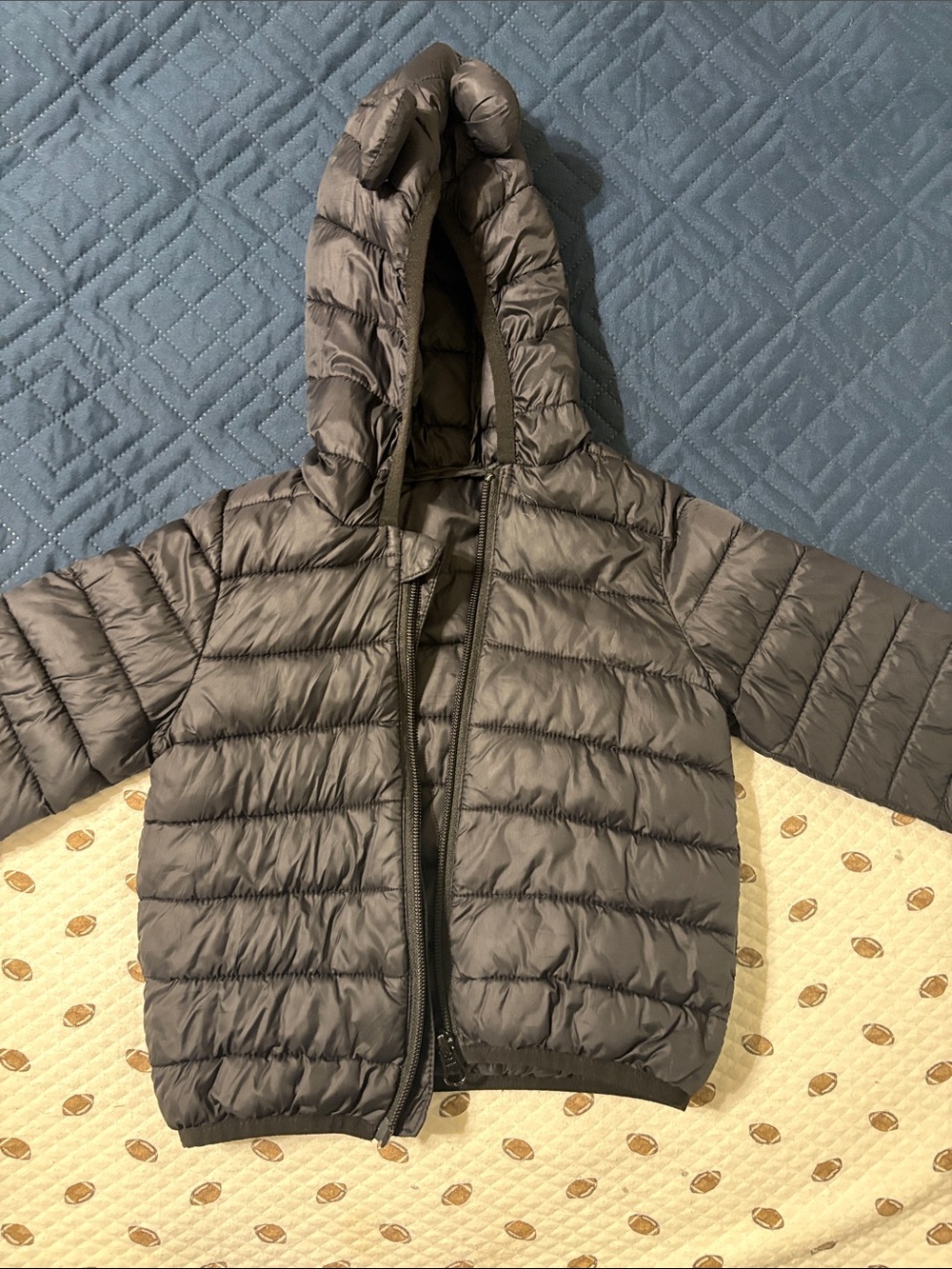 Toddler Hooded Puffer Jacket